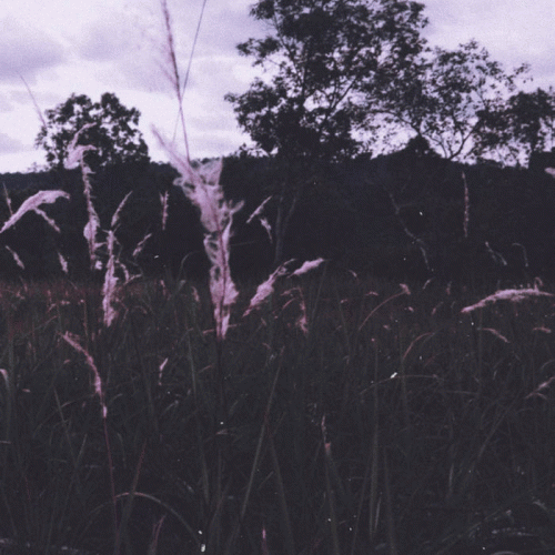 Soulless (IDN) : Hope